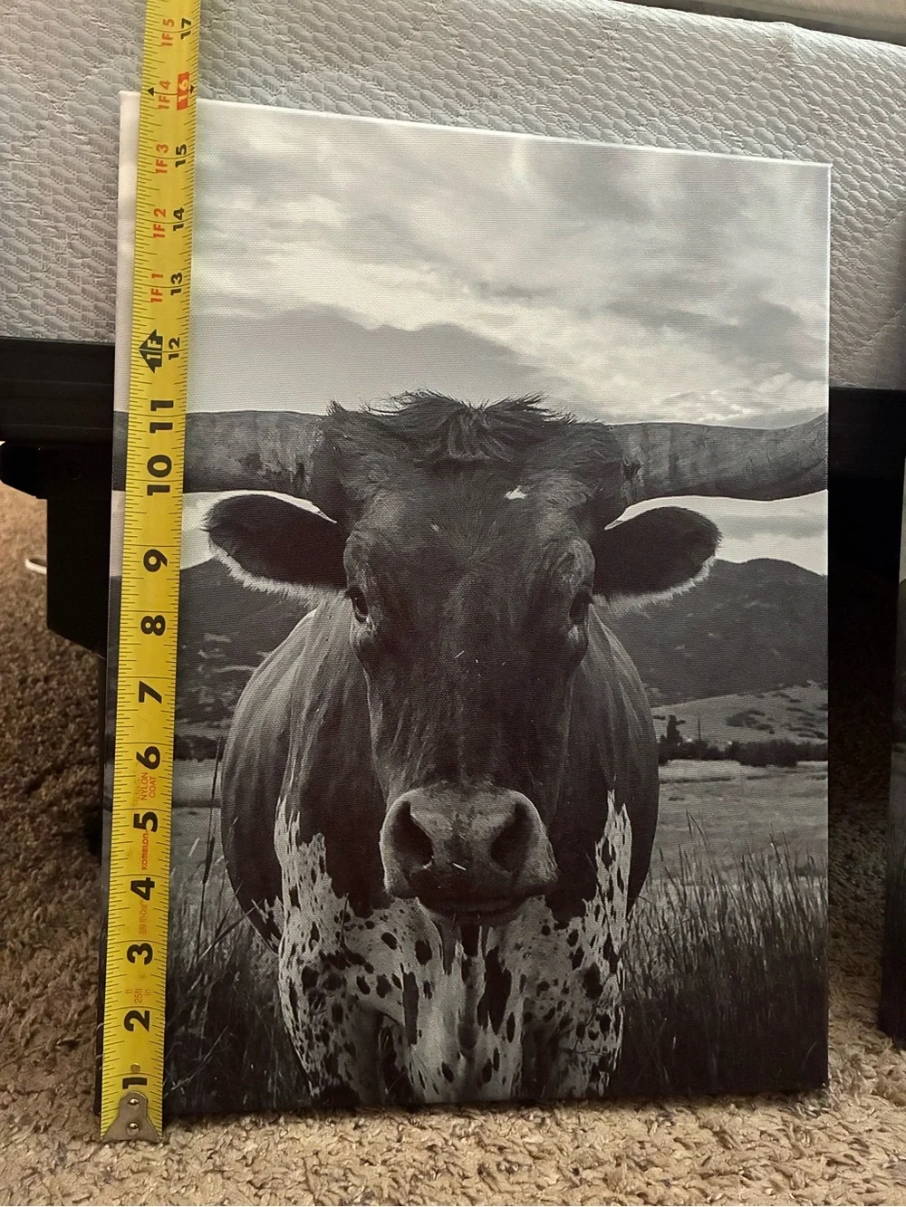 Black & White Longhorn Canvas Wall Art - Rustic Home Decor